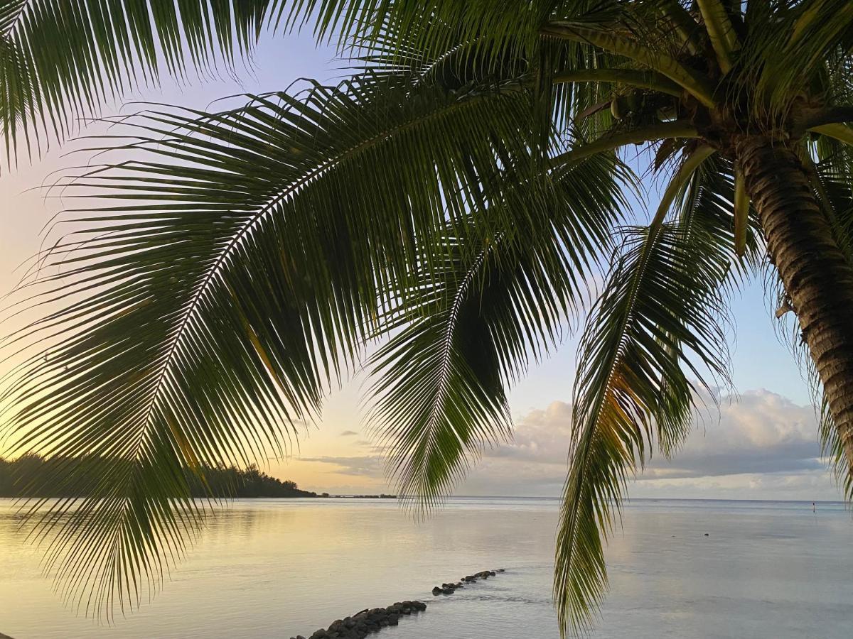 Tradewinds Lodge Praia de Diani Exterior foto